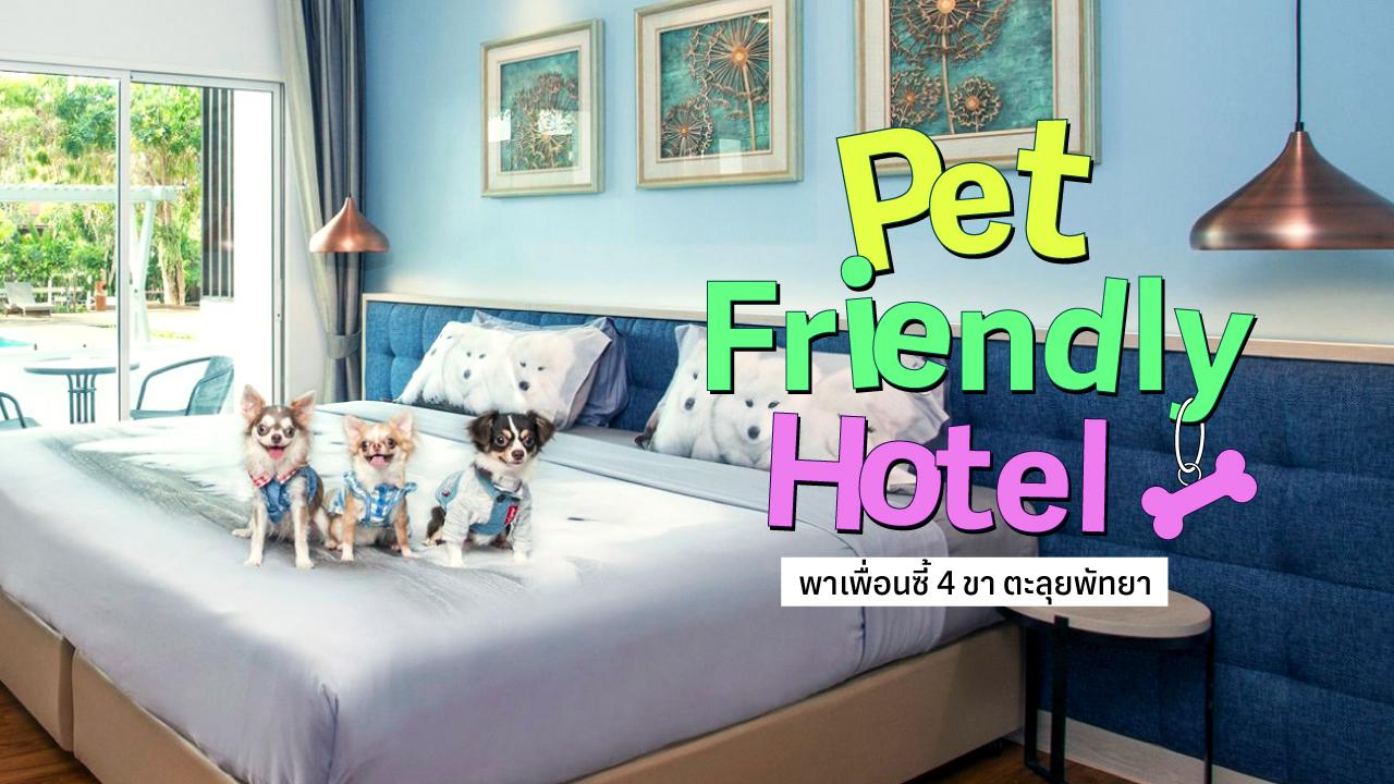 Gother_Non-KLUB_Pet-Friendly-hotel16-9