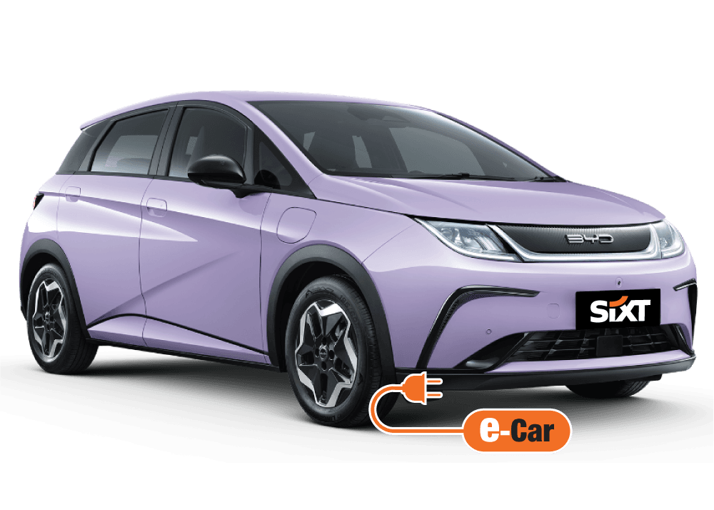 Byd Dolphin (zero Excess) Image