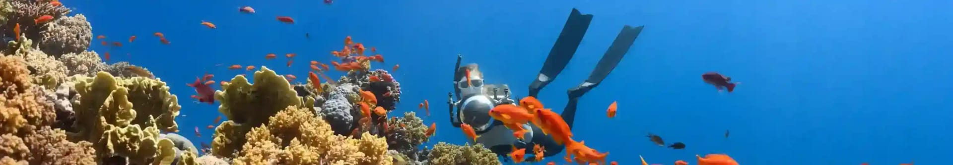 จองกิจกรรม