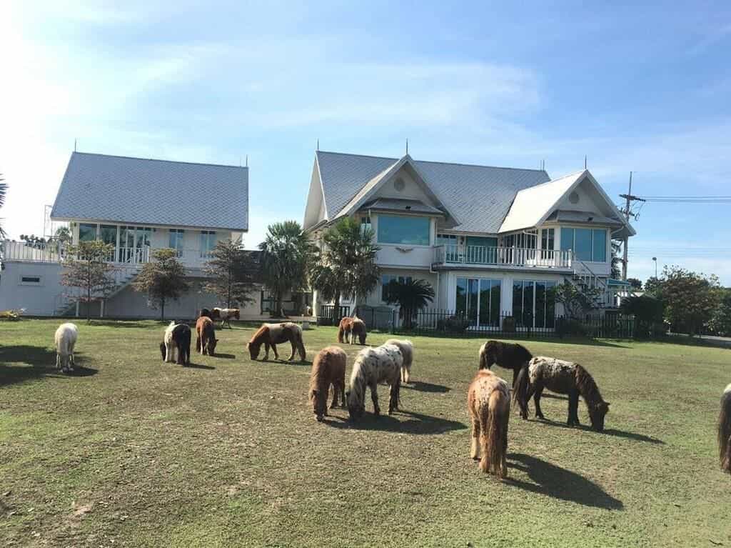 ดีเซมเบอร์ ทู รีเมมเบอร์ เฮาส์