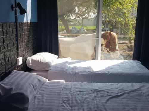 RODEO HOUSE BKK RODEO HOUSE BKK