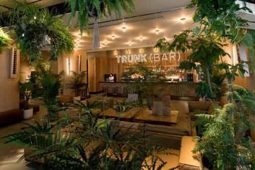 TRUNK (HOTEL) TRUNK (HOTEL)