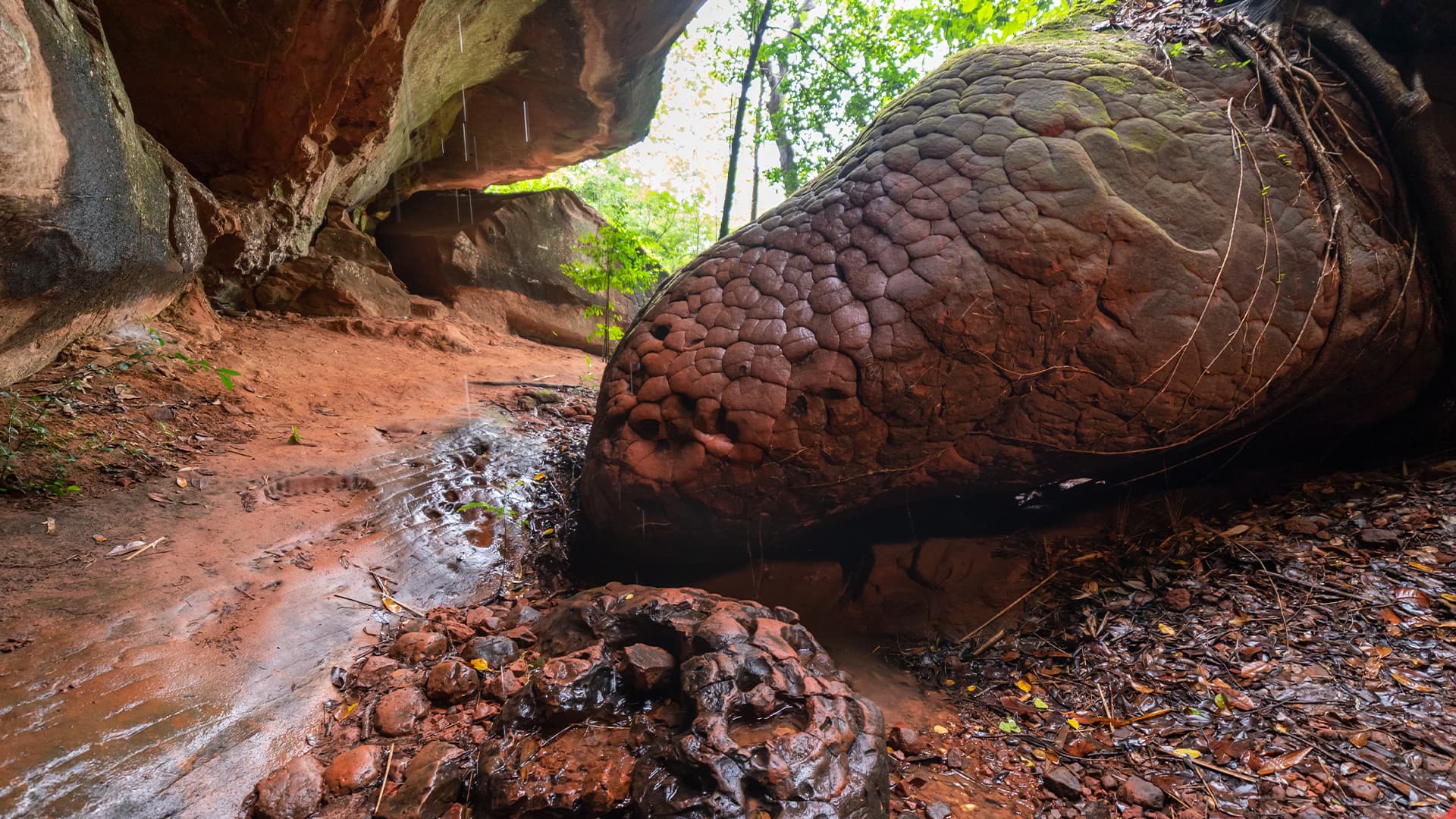 travel-story-1740043328_2f7c20cd0ffa820e4ff1-0