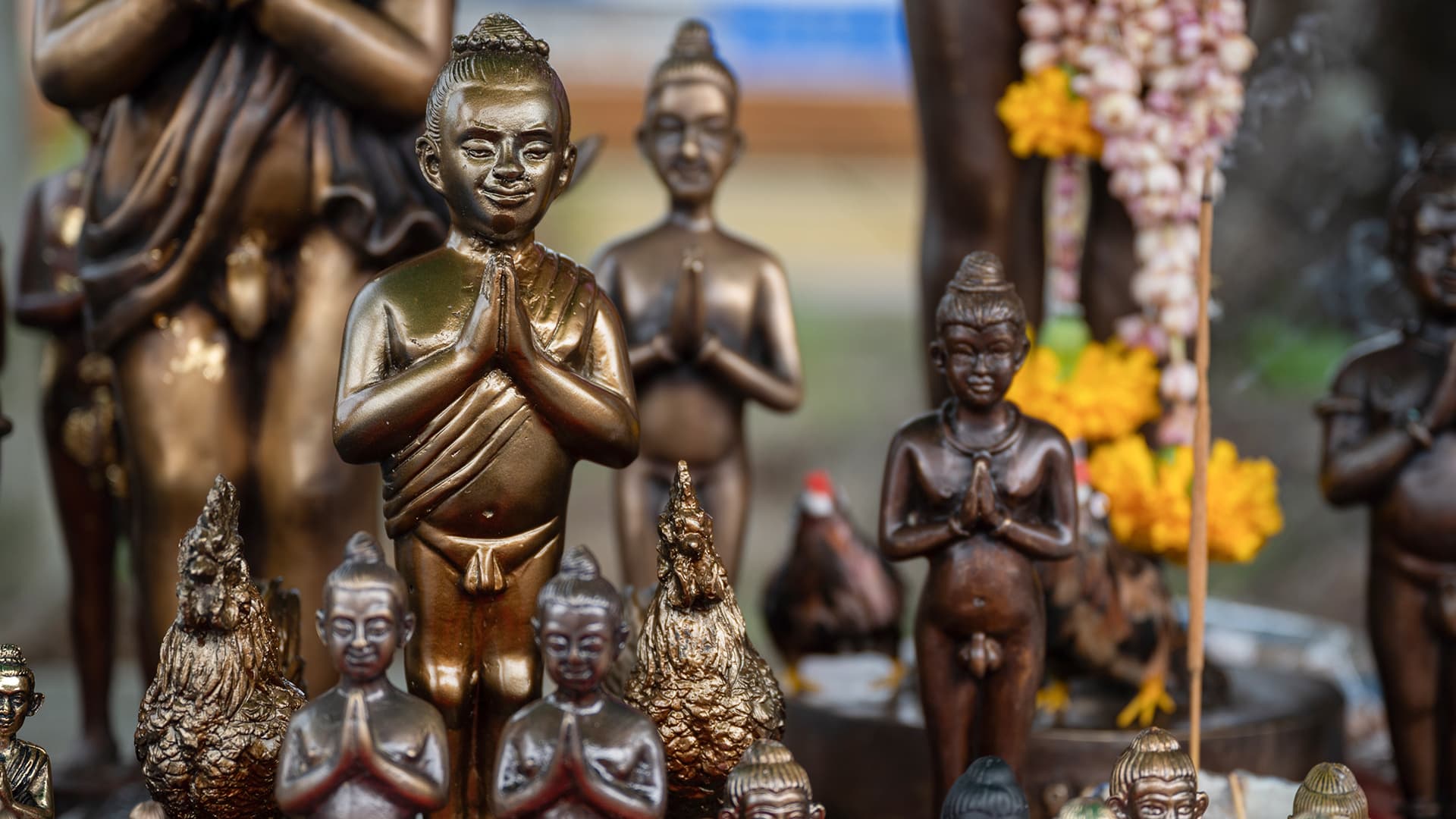 travel-story-1740043555_c693e600c1fe3b41a54d-1