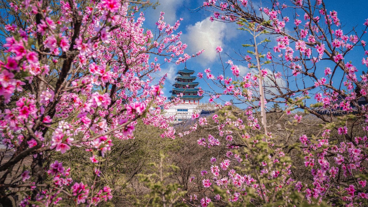 travel-story-1727777415_f59504670be9a14bbeca-0