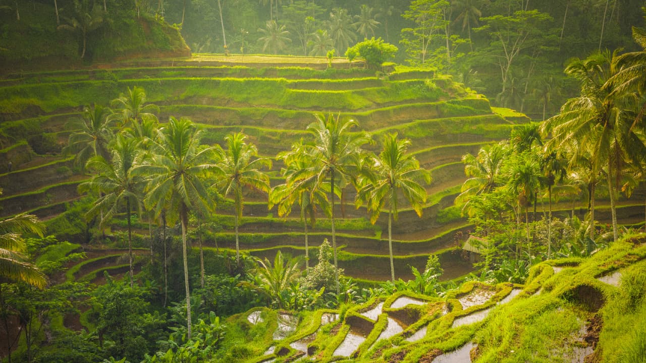 travel-story-1727777826_cd232de7b147a14a6261-0