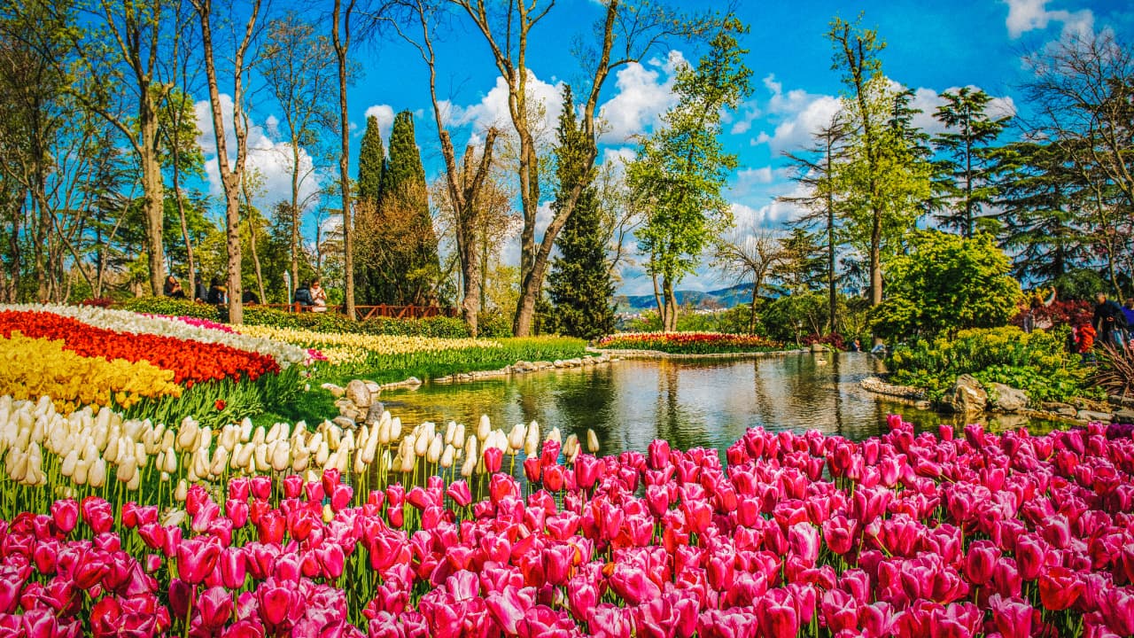 travel-story-1727778210_4d42c7d25ca6cc966019-0