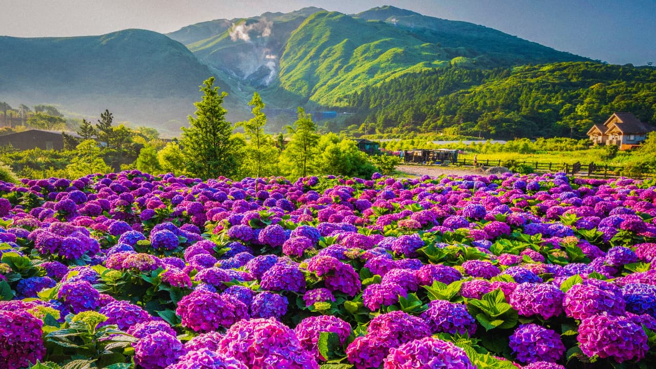 travel-story-1727779350_9c9905722296e0676ce8-0