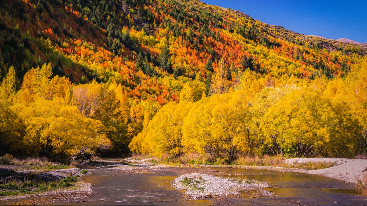 travel-story-1727779683_5cd14945de712bf37eef-0