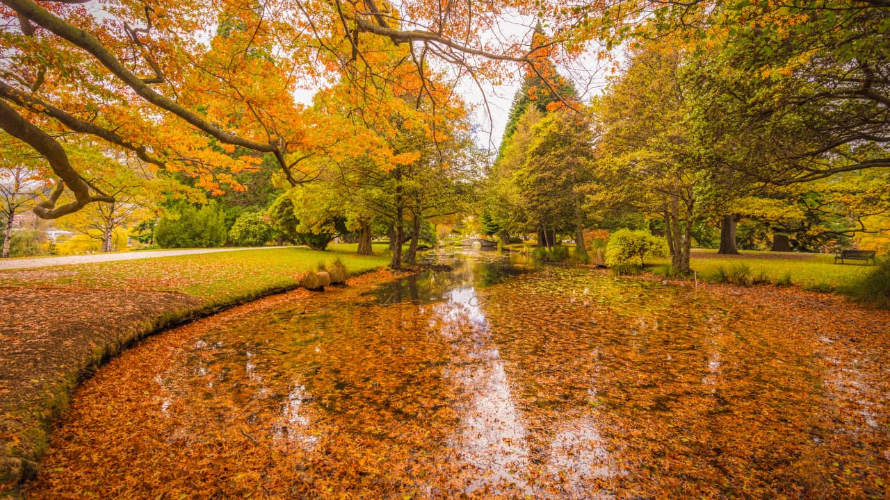 travel-story-1727779736_224ab073b35f89a8ac4c-0