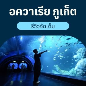 อควาเรีย ภูเก็ต รีวิวจัดเต็ม มีกี่โซน เช็กตารางโชว์ให้อาหารสัตว์น้ำ