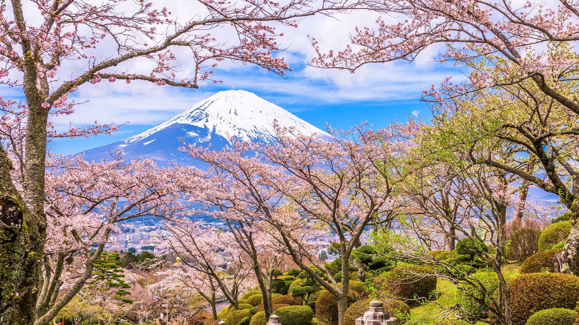 travel-story-1740048727_8e7441612023fbd5a68a-0