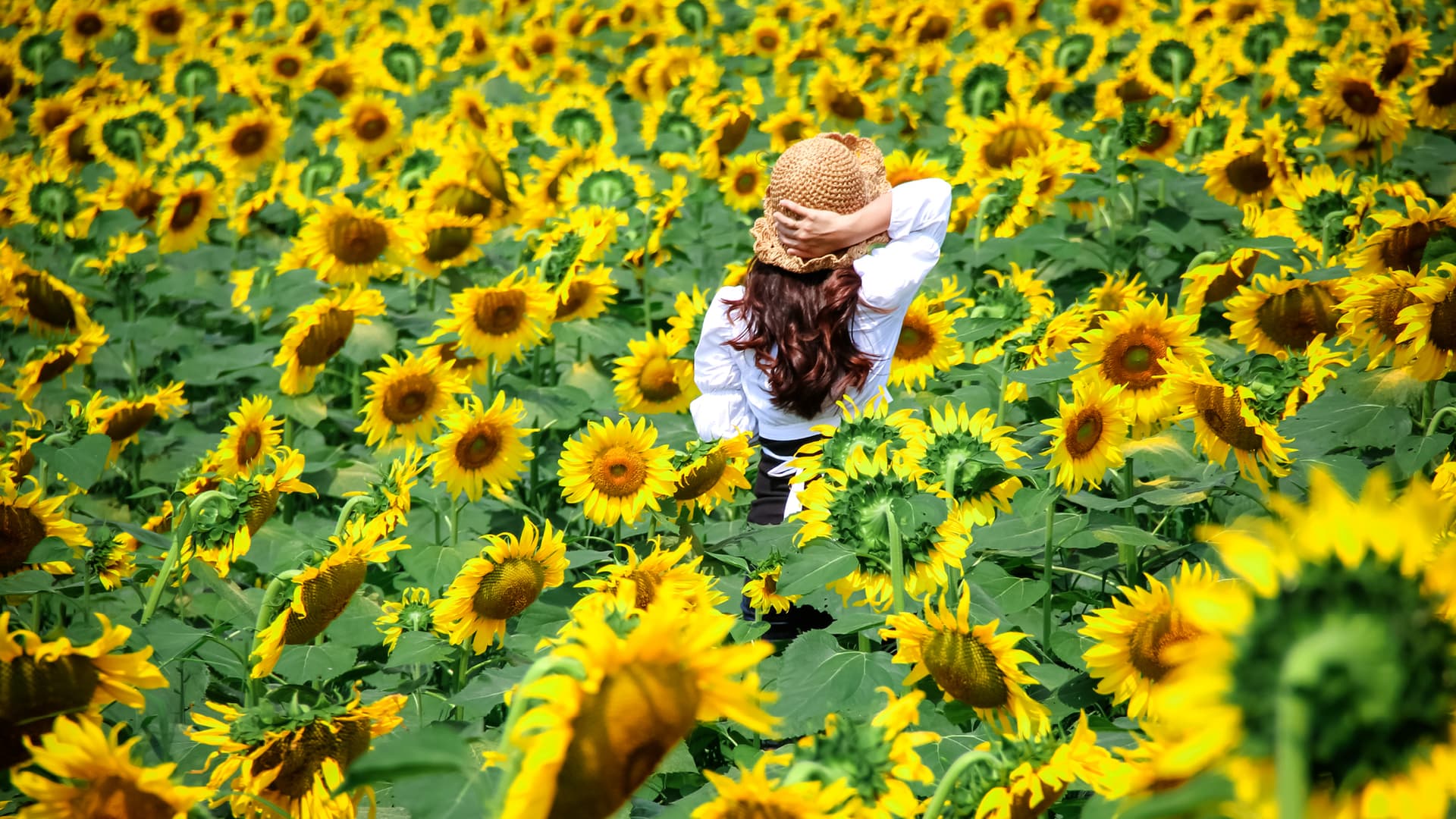 travel-story-1727170816_22a28265ac4b04c035e6-0