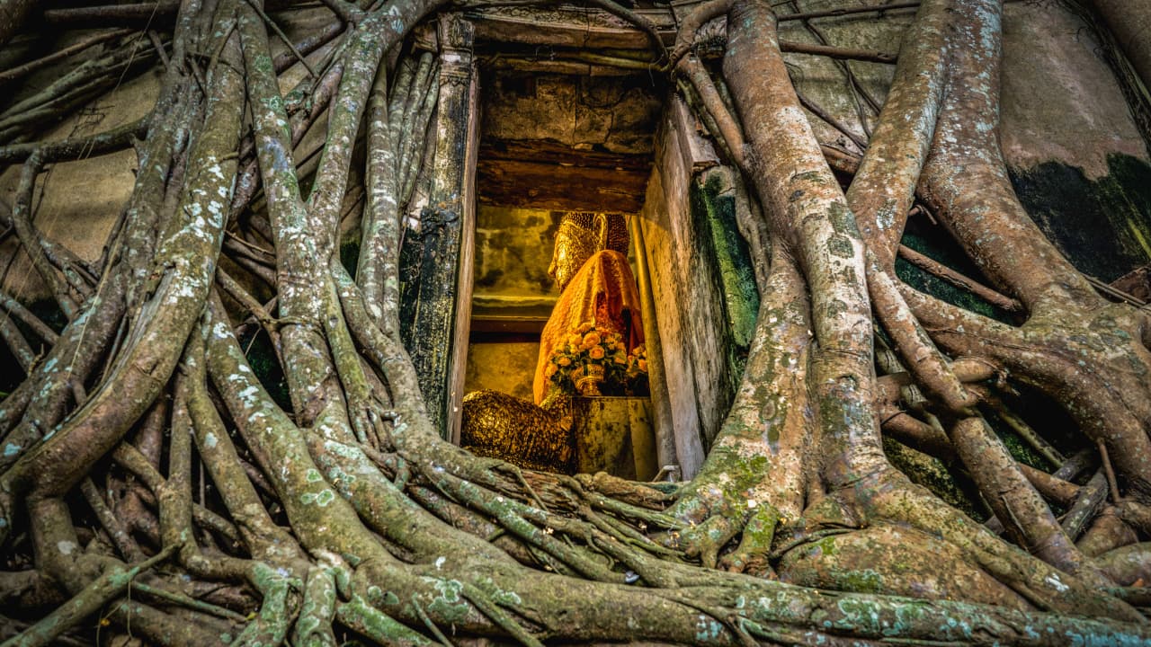 travel-story-1729489035_99496f58d324c6342b9f-0