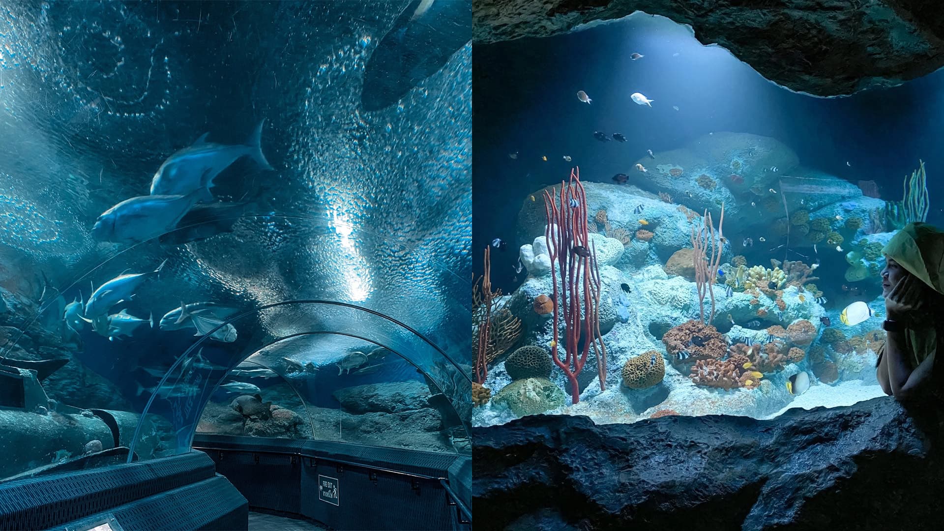 travel-story-1740981345_6df516e23a97c976cddf-0