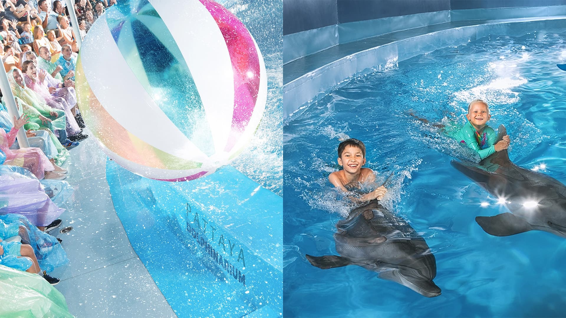 travel-story-1740981356_36d7d6ea401f0d2fb978-0