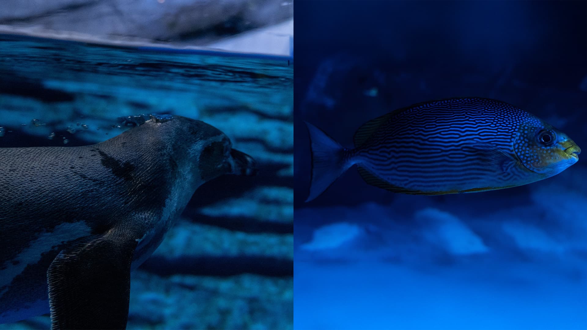 travel-story-1740981367_5d0eeb082be97decbc80-0