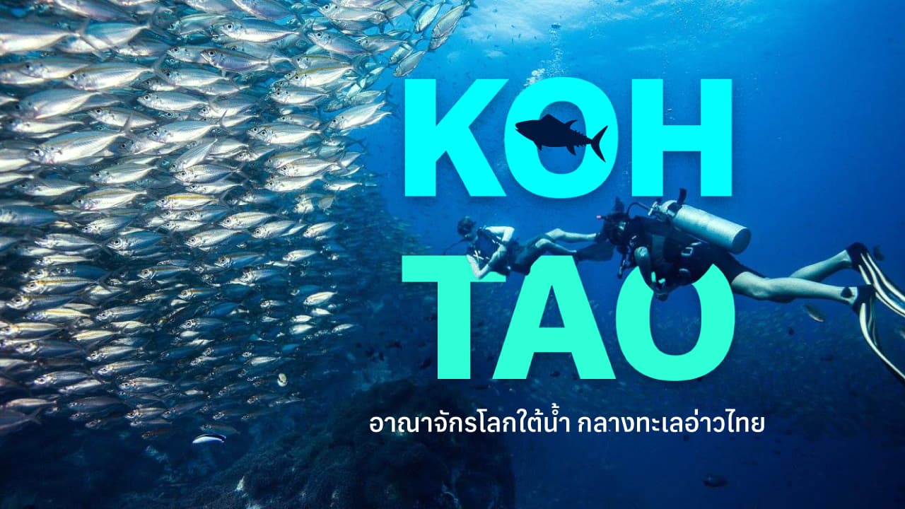 travel-story-1725275599_ef93460366b2d2b784b8-0