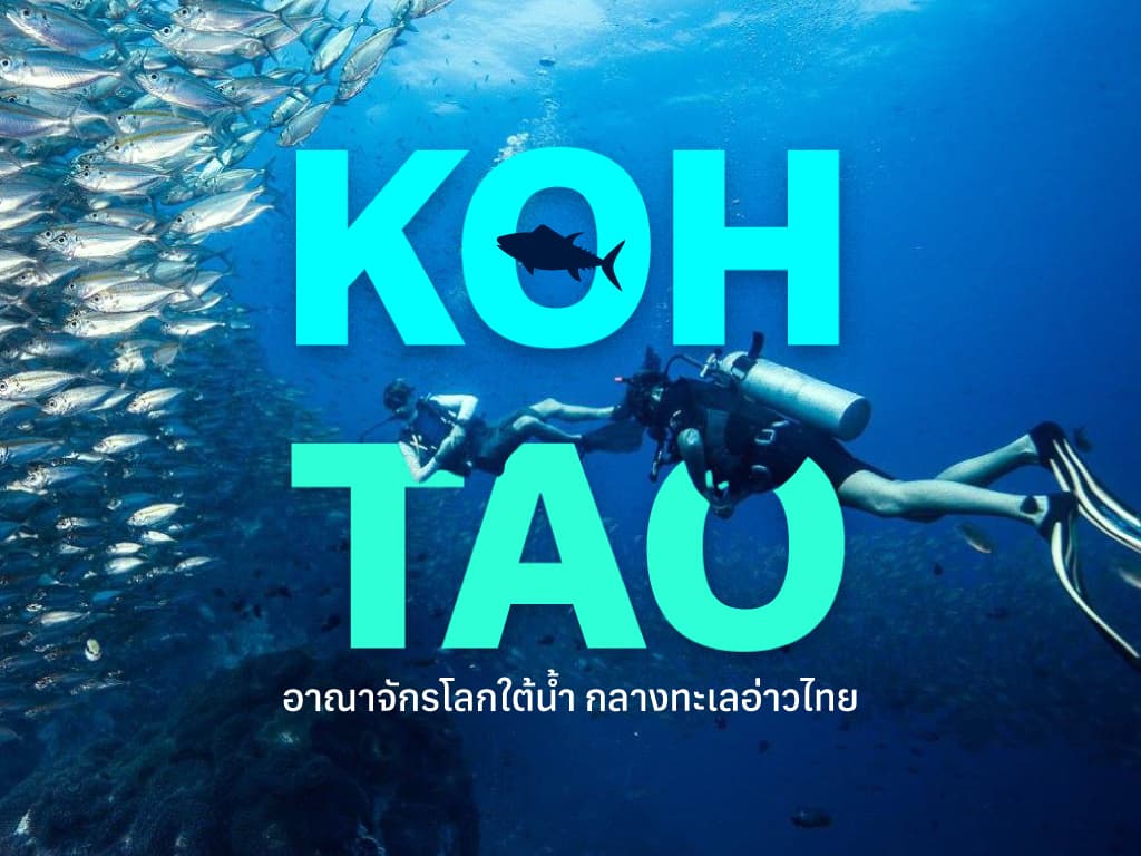 Where to Stay and Best Hotels in Koh Tao