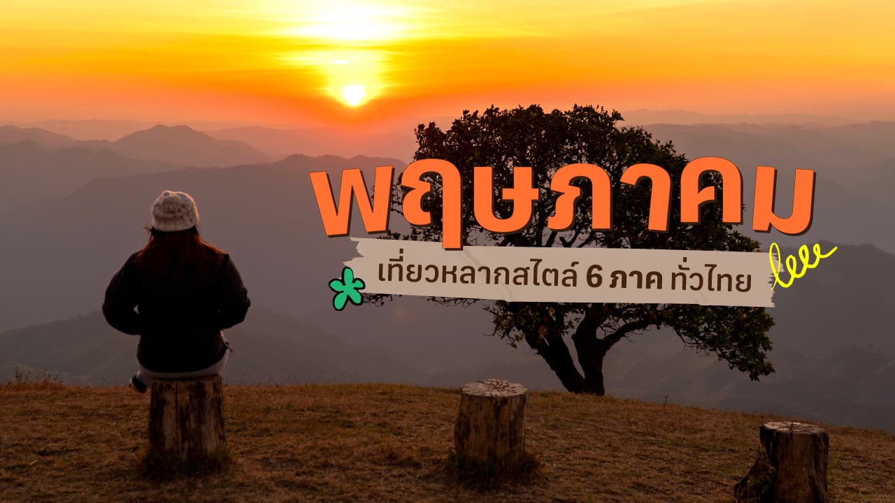 travel-story-1727836935_25b6a2ef28c55c03392d-0