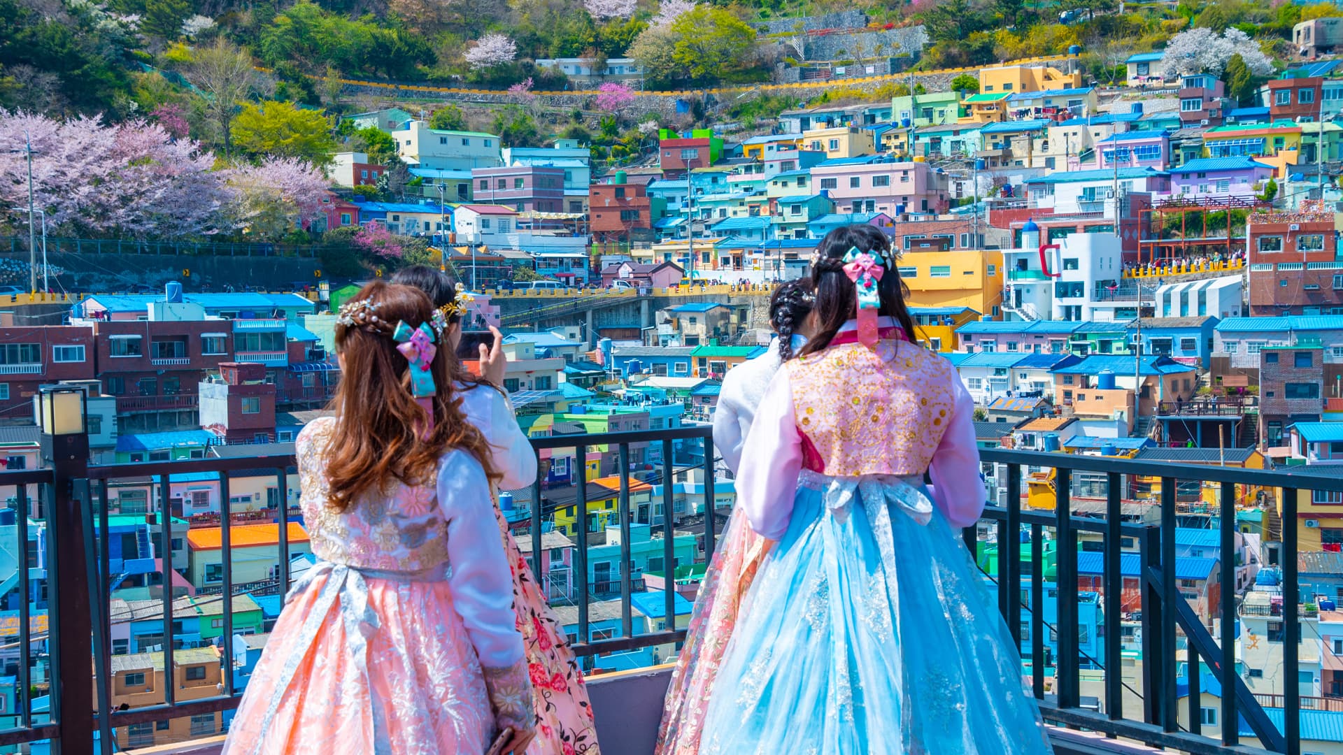travel-story-1741339006_506401a3ae6ce1ad312d-0