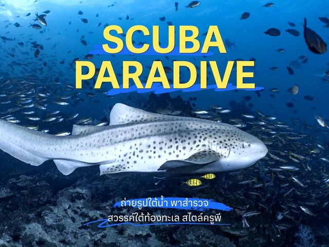 พาสำรวจสวรรค์ใต้ท้องทะเล สไตล์ครูพีแห่ง Scuba Paradive กับภาพประทับใจและเส้นทางสู่อาชีพครูดำน้ำ