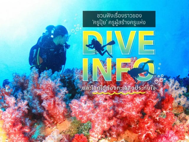 เรื่องราวของ ‘ครูปุ๊ย’ ครูผู้สร้างครู แห่ง DiveInfo และโลกใต้ท้องทะเลสุดประทับใจ