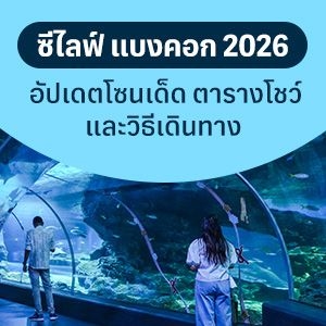 ซีไลฟ์ แบงคอก 2026 อัปเดตโซนเด็ด ตารางโชว์ และวิธีเดินทาง