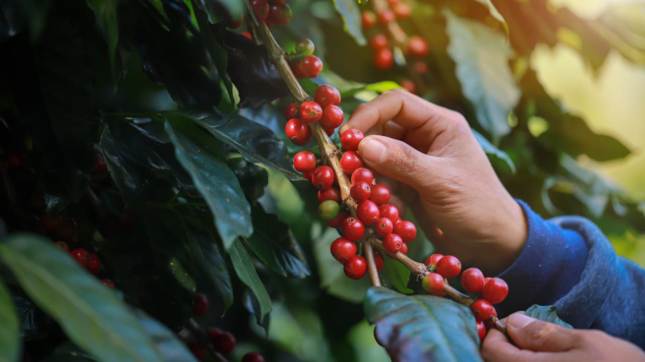 travel-story-1729494357_34e4c5f0cb8eb6f9bedf-0