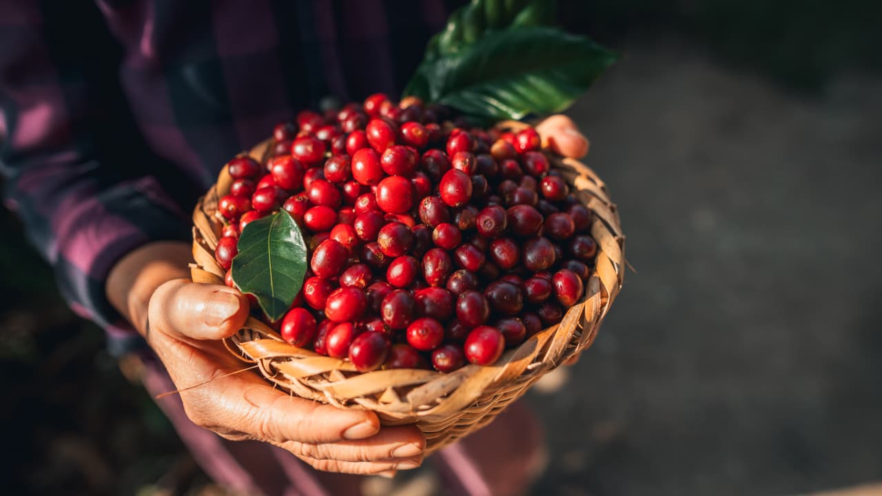 travel-story-1729494389_ac93278445ad9bd4fa35-0