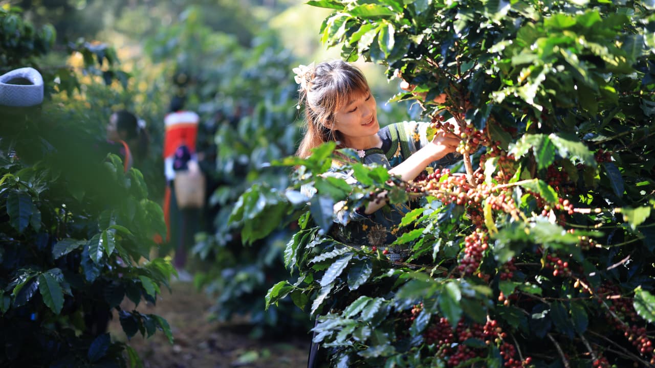 travel-story-1729494409_4c3dc3fad8a92ba53699-0