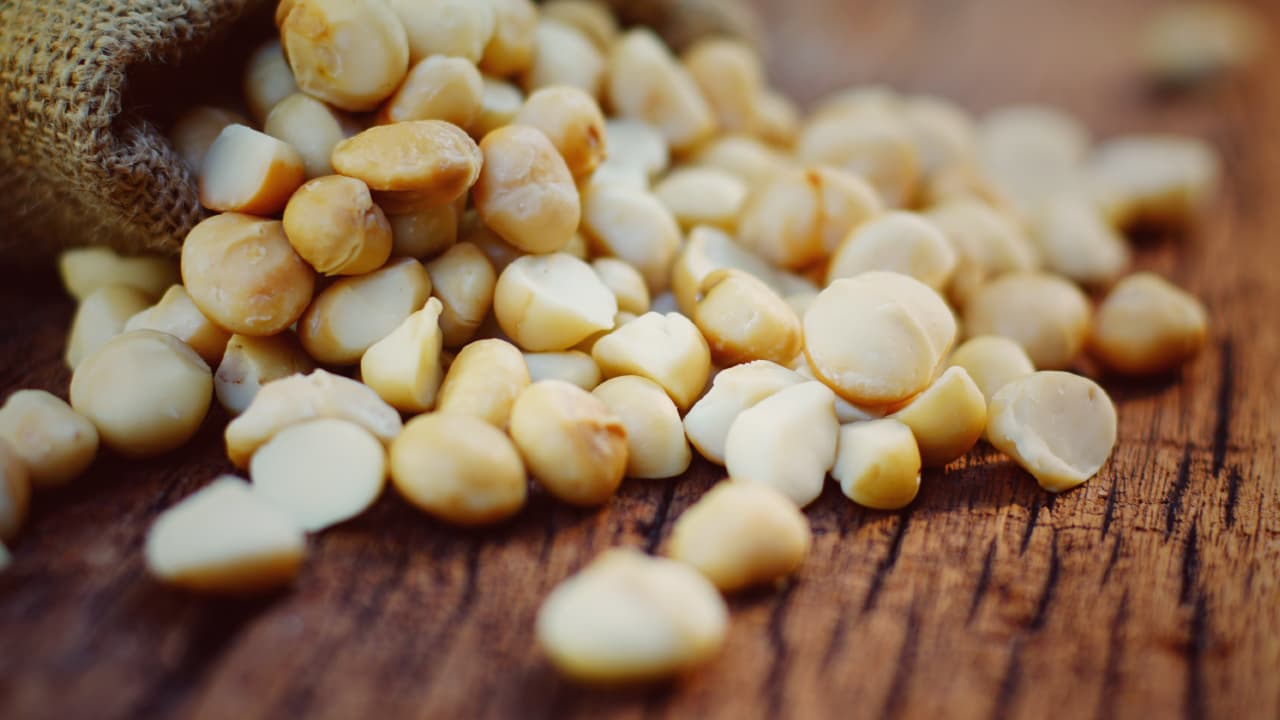 travel-story-1729494422_dff6ae6a0c933ee505ec-0