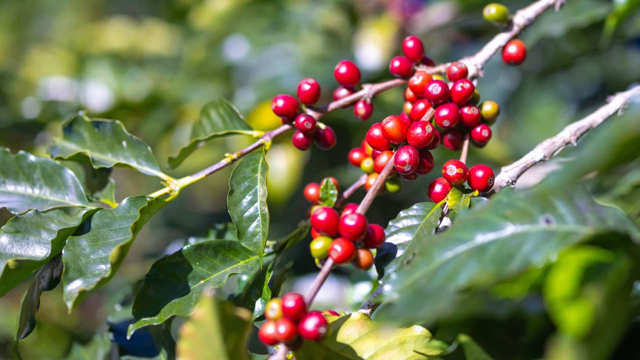 travel-story-1729494442_fb927c835ab087645e8e-0