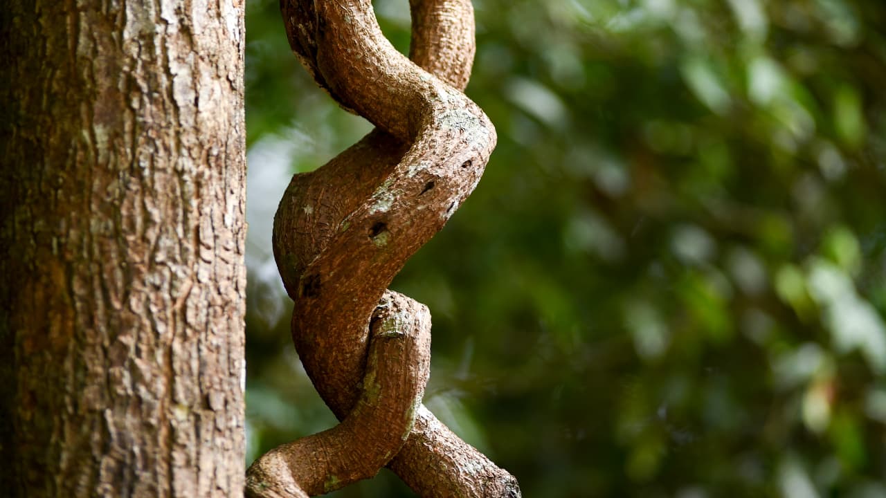 travel-story-1729494454_d337a174de2155c55e40-0