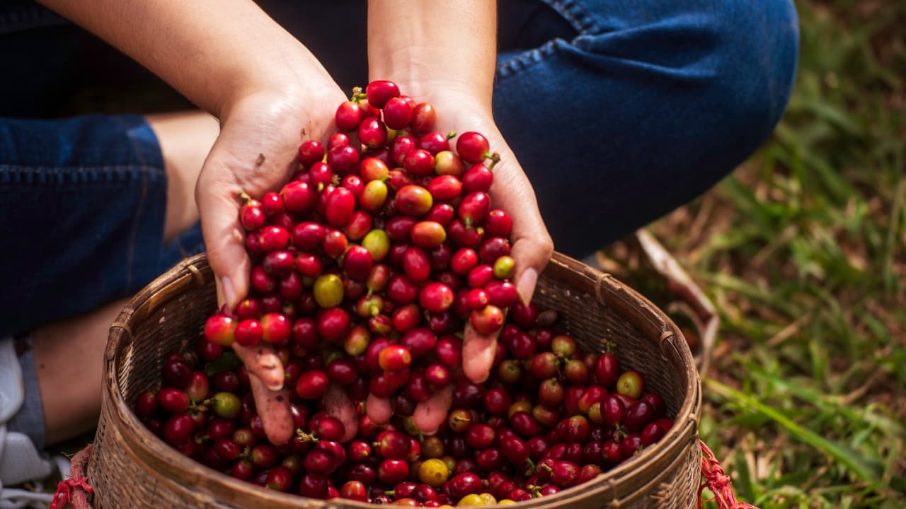 travel-story-1729494469_adda9aedd3cb14918da9-0