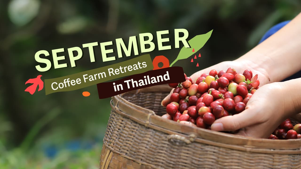 travel-story-1731411671_6245b9bc4ebb284d1677-0