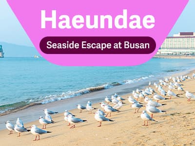 Haeundae Seaside Escape at Busan