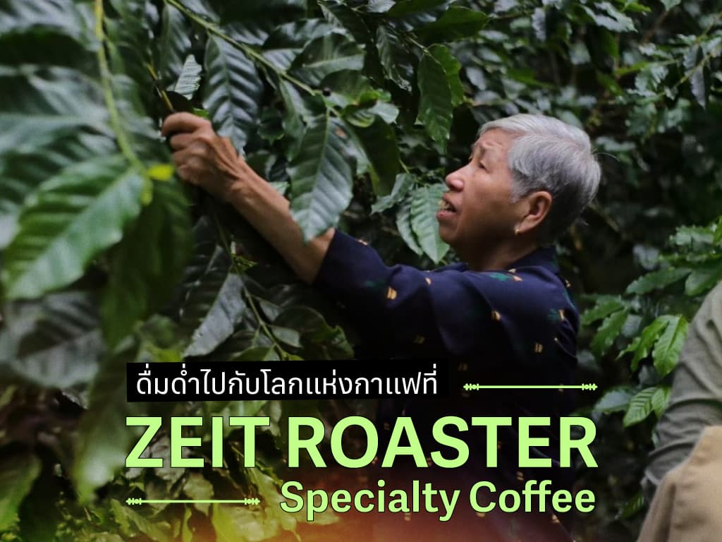 Discover the World of Coffee with Zeit Roaster Specialty Coffee